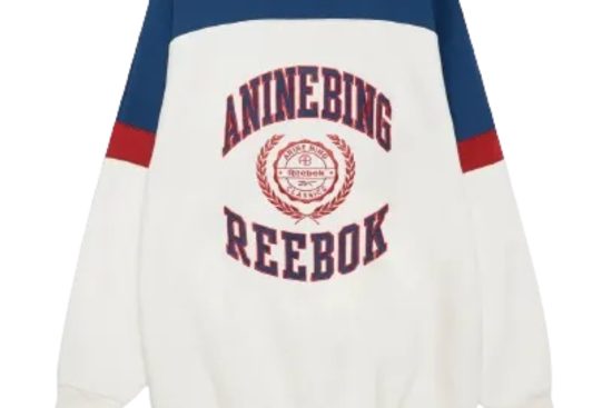 Anine-Bing-Reebok-Sweatshirt