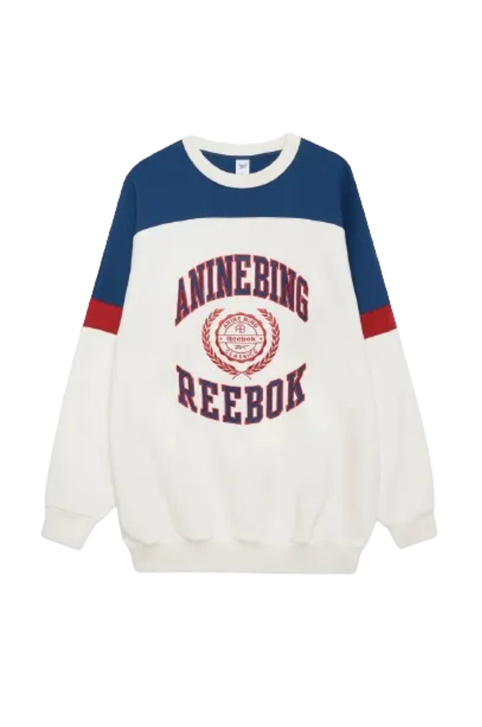 Anine-Bing-Reebok-Sweatshirt