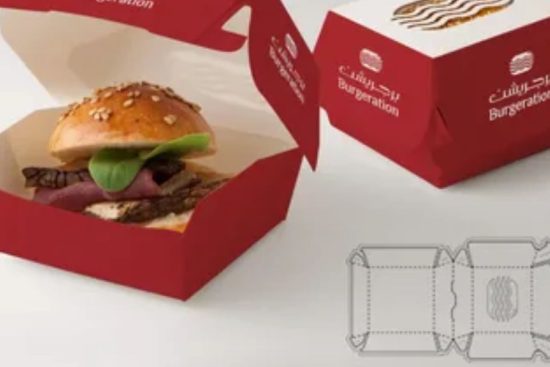 Custom Fast Food Packaging Boxes (1)