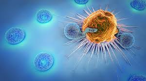 Cancer Immunotherapy Market