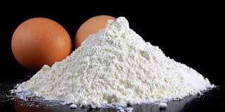 Egg Powder Market