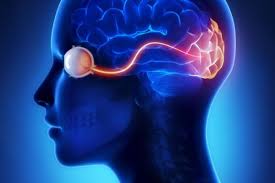 Epilepsy Drugs Market