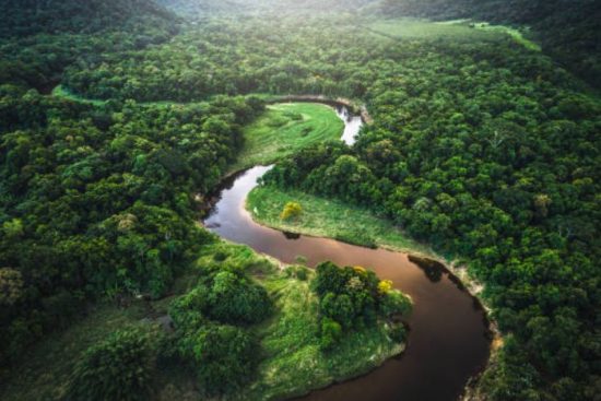 Exploring the Amazon Rainforest An Adventure in Brazil’s Wilderness (1)