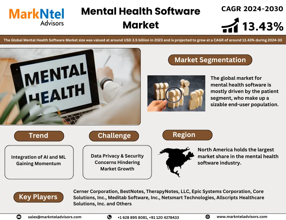 Global Mental Health Software Market Research Report Forecast (2024-2030)