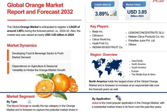 Global Orange Market Report and Forecast 2032