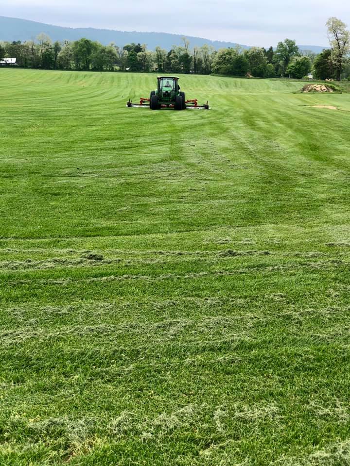 High-Quality grass sod manassas