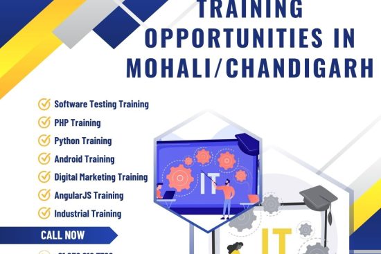 IT training in Chandigarh (1)