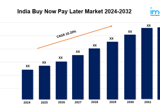 India Buy Now Pay Later Market