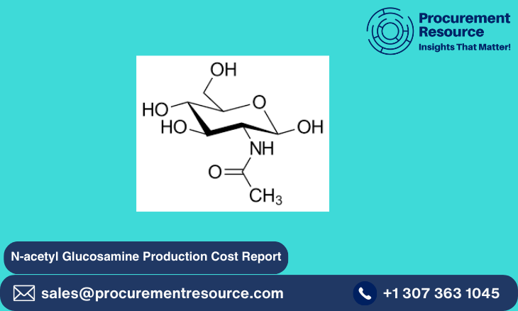 N-acetyl Glucosamine Production Cost Report