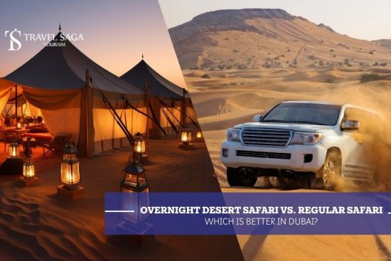 Overnight Desert Safari vs. Regular Safari_ Which is Better in Dubai