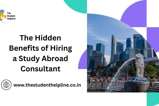 The Hidden Benefits of Hiring a Study Abroad Consultant