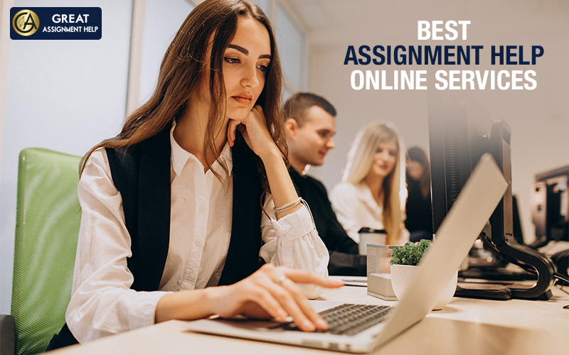 great assignment help (28)