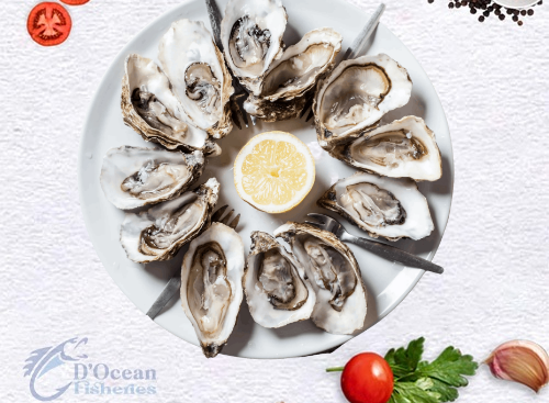 oysters