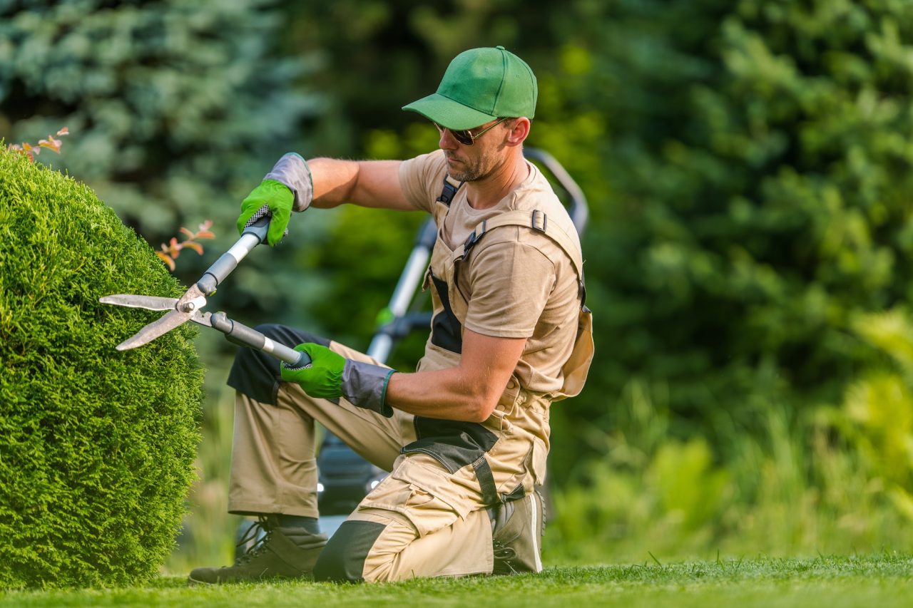 professional-garden-worker-trimming-plants-using-scissors