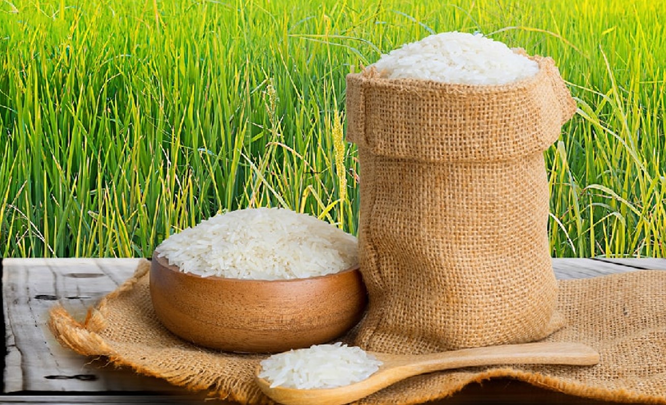 rice export