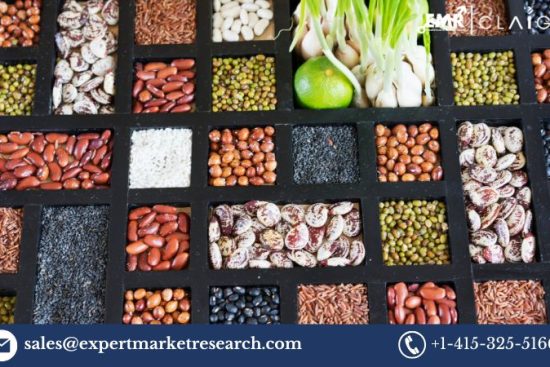 south africa seeds market