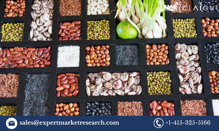 south africa seeds market