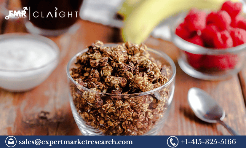 Almond Protein Granola Manufacturing Plant Project Report (1)