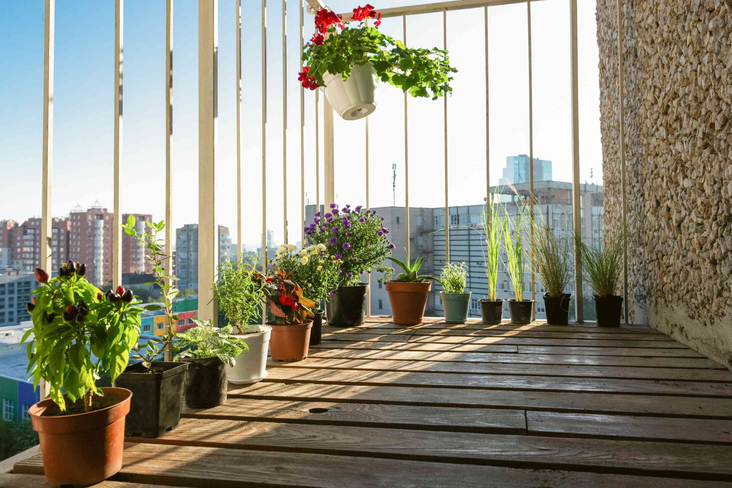 Balcony Gardening