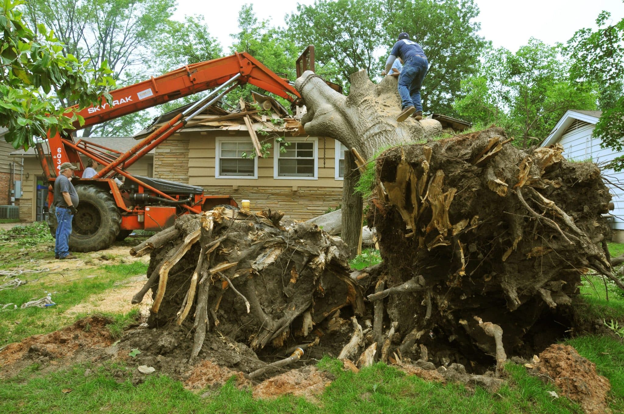 Damaged-Tree-Removal-Method-scaled