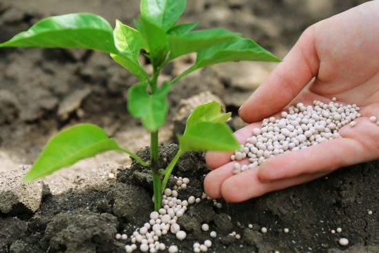 Mercado de Fertilizantes en Argentina