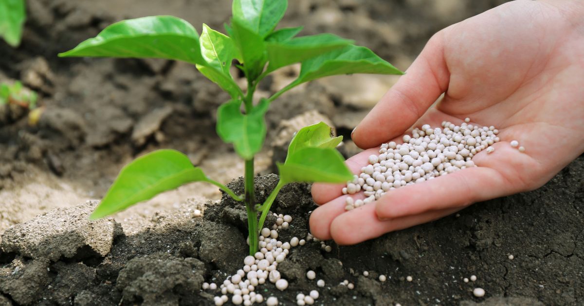 Mercado de Fertilizantes en Argentina