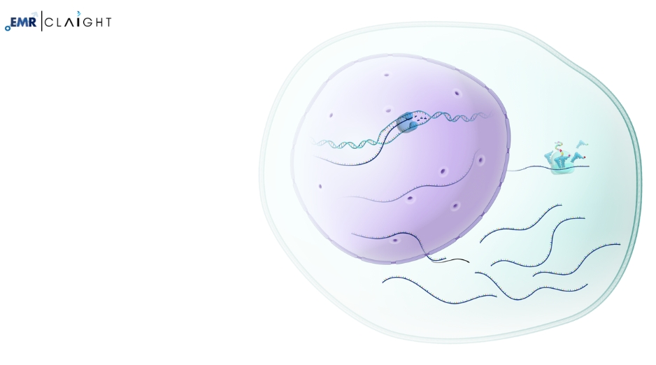 North America Gene Expression Market