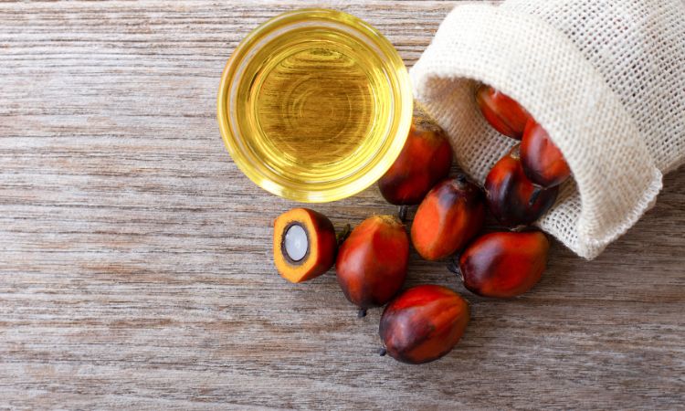 Palm Kernel Oil Market