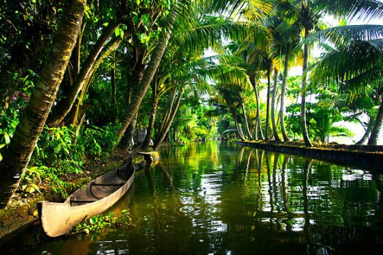 Spots in Kerala’s Backwaters