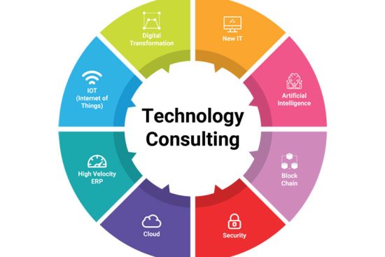 Technology Strategy Consulting