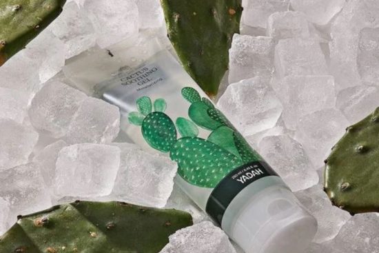 cactus soothing gel jpg