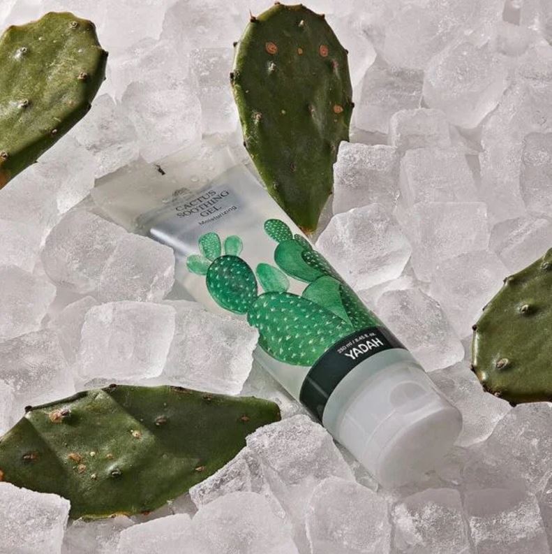 cactus soothing gel jpg