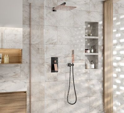 Frameless Shower Door