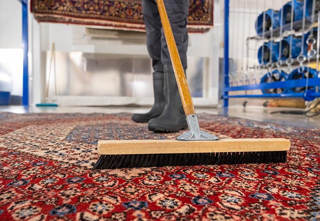 rug-cleaning-broom-brush-boots