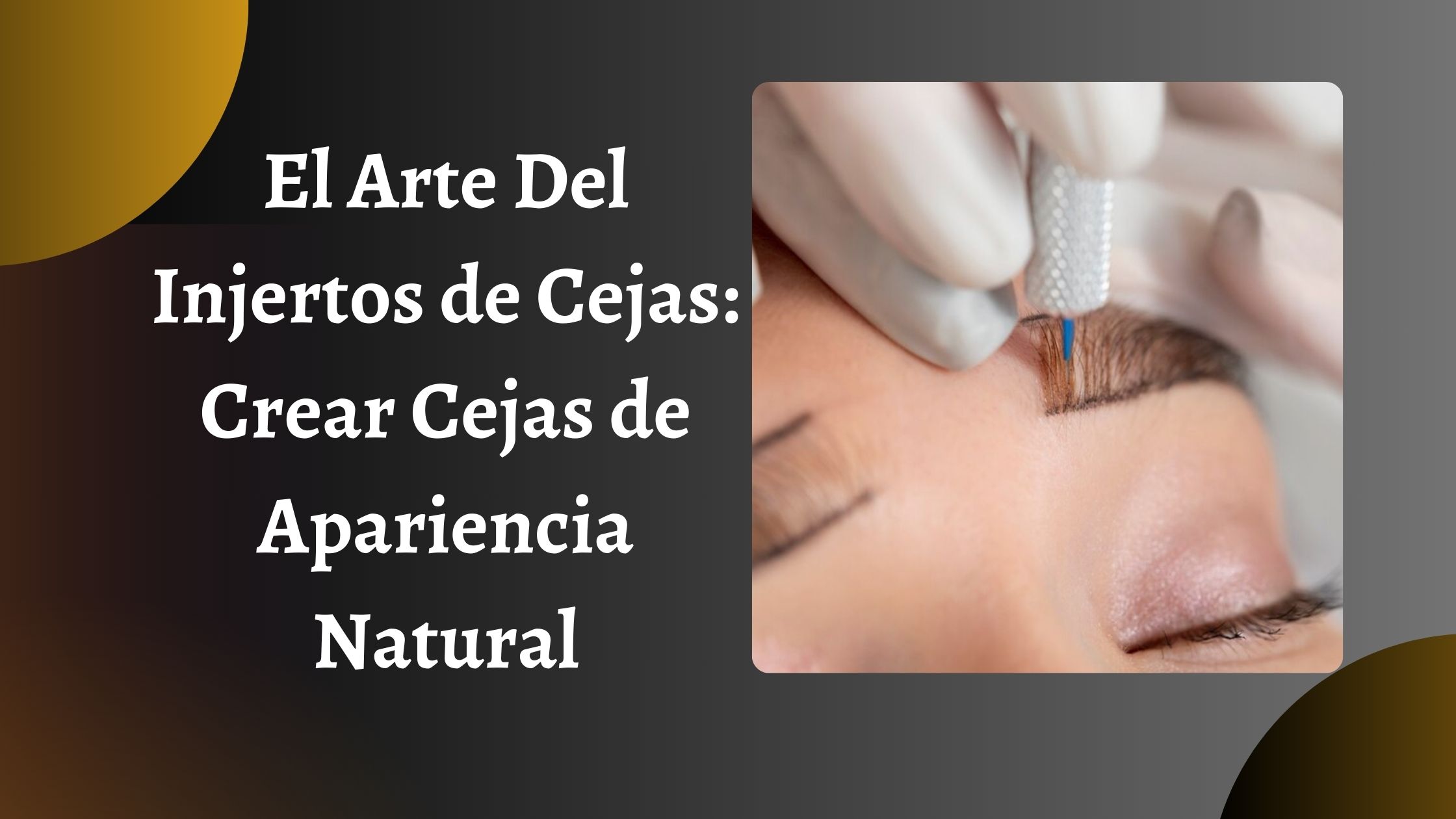 El Arte Del Injertos de Cejas Crear Cejas de Apariencia Natural