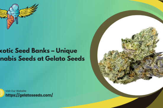 Exotic Seed Banks – Unique Cannabis Seeds at Gelato Seeds