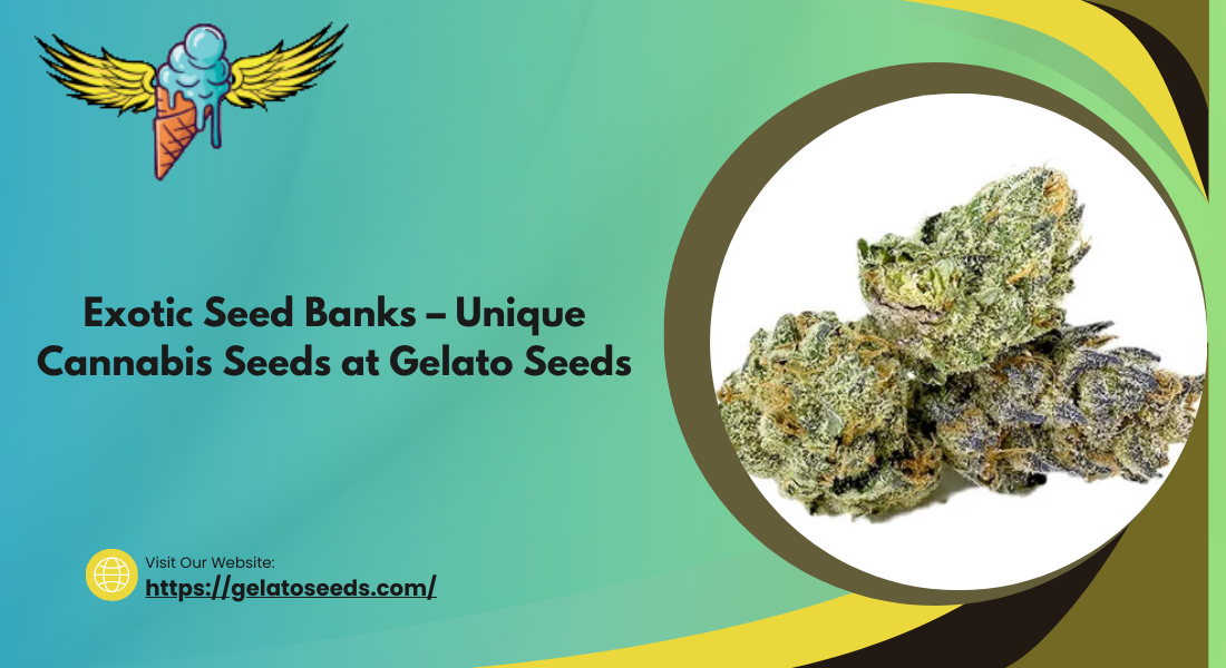 Exotic Seed Banks – Unique Cannabis Seeds at Gelato Seeds