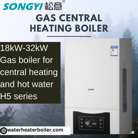 Gas Central Heating Boiler (3)