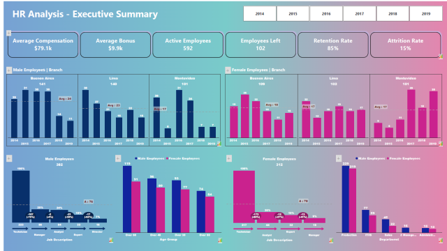 HR DASHBOARD WITH PREMIUM INFORIVER CUSTOM VISUALS-640x360