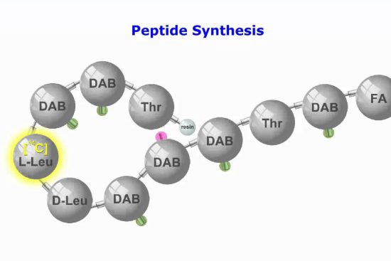 Peptide synthesis