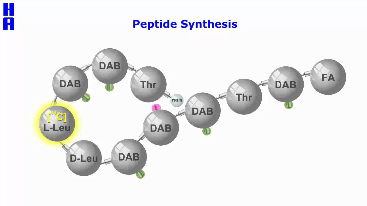 Peptide synthesis