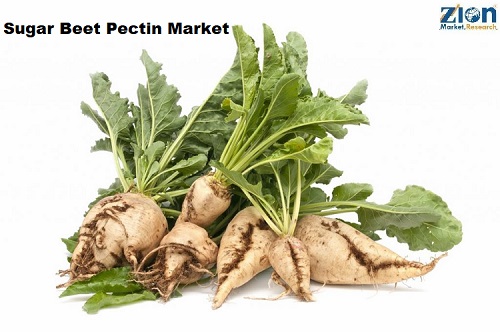 Sugar Beet Pectin Market