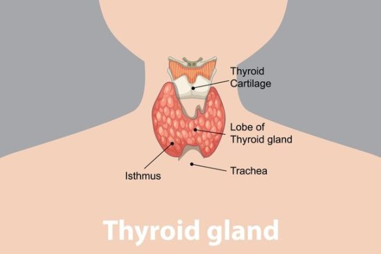 Thyronorm 100 mcg