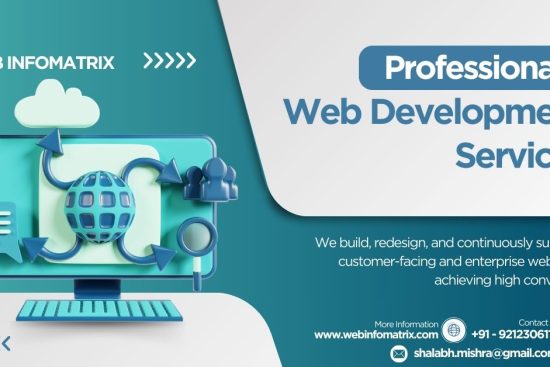 Webinfo development2