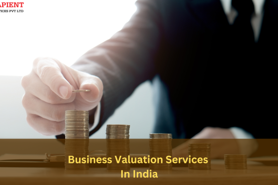 business valuation services in india (2)