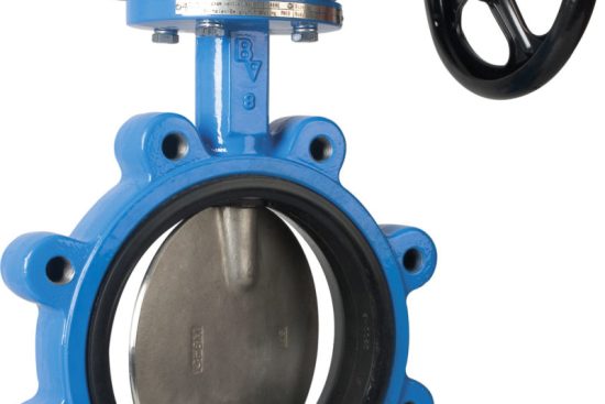 butterfly valve manufacturer in ahmedabad