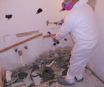 mold-remediation-technician