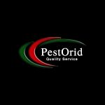 pestorid profile pic