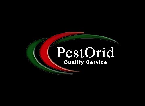 pestorid profile pic